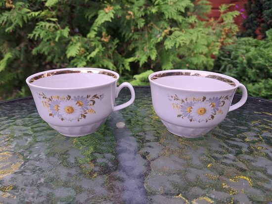 Krūzītes, tējas servīze "Māra" ar margrietiņām, RPR (Māra tējas 240)