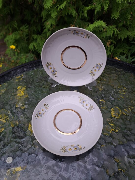 Apakštases, tējas servīze "Māra" ar margrietiņām, RPR (Māra tējas 237)