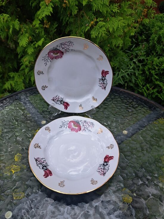 Šķīvis 17cm, pusdienu servīzee "Ārija" ar košām puķēm (Ārija pusdienu 53)