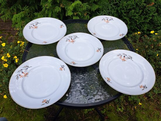 Otrā ēdiena šķīvji d=24cm ar enģeļtaurēm un zelta apvilkumu, taisna mala, Jessen. pirmskara periods (Jessen Jaksch 50)