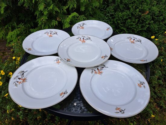 Otrā ēdiena šķīvji d=24cm ar enģeļtaurēm un zelta apvilkumu, taisna mala (Jessen Jaksch 51)