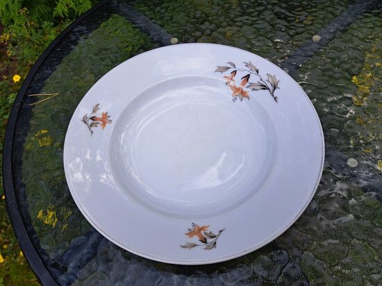 Zupas šķīvji d=24cm ar enģeļtaurēm un zelta apvilkumu, taisna mala (Jessen Jaksch 57)