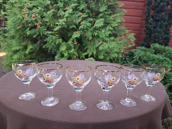 Glāzīšu komplekts 6 personām: 75ml uz apaļas kājiņas ar zelta apvilkumu un savvaļas puķu pušķi (Stikla gl 332)