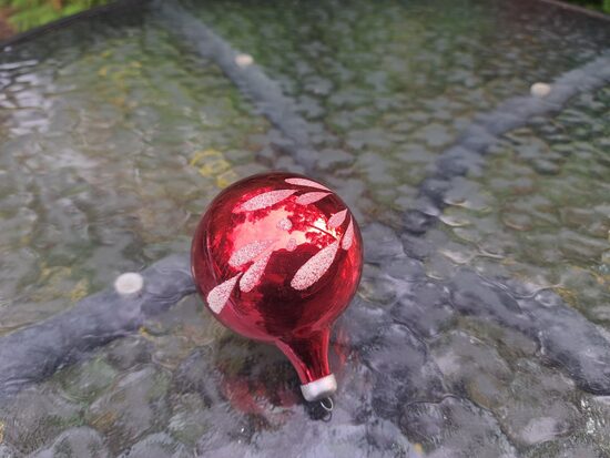 Sarkana bumba ar baltiem zariem (Egle bumba 65)