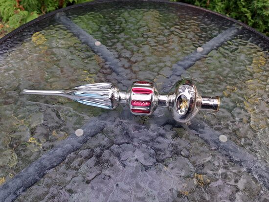 Eglītes virsotne ar defektu (Egle top 04)