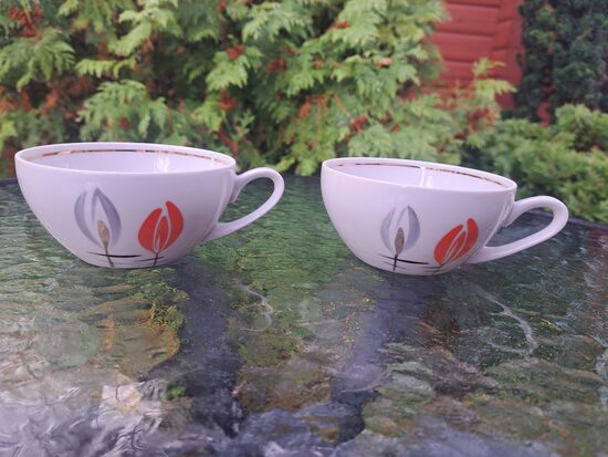 Krūzītes, servīze "Jūrmala" ar oranžām un pelēkām puķēm un zeltu, PFF (Jūrmala 31)