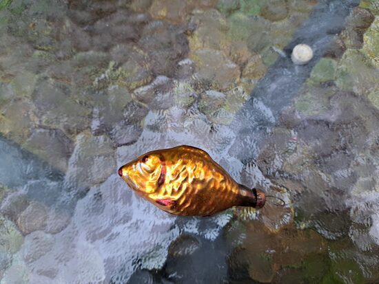 Zelta zivtiņa mazā, L=6,5cm (Egle zivis 06)