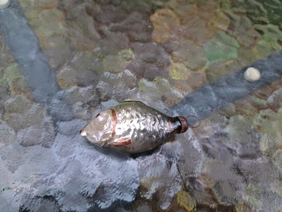  Sudraba zivtiņa mazā (Egle zivis 07)