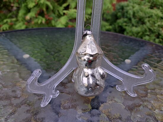 Putnubiedēklis  sudraba no "Oza zemes burvja" (Egle pasaka 61)