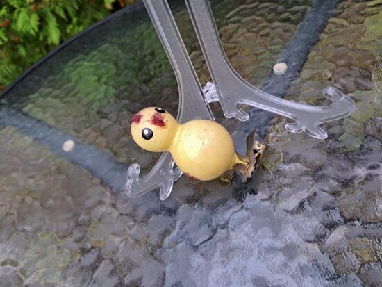 Cālis dzeltens uz piespraudes (Egle putni 31)