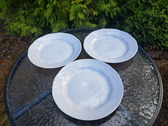 Otrā ēdiena šķīvji, d=24cm pilnīgi balti, pusdienu servīze "Ārija", RPR (Ārija pusdienu 466)