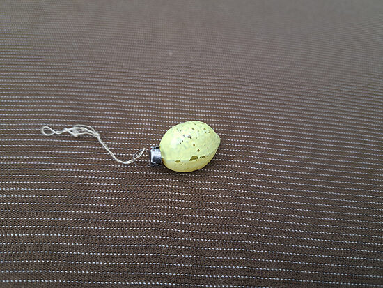 Citrons dzeltens (Egle mini 45)