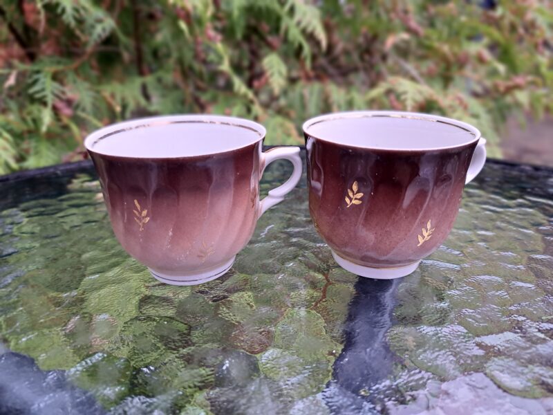 Krūzītes brūnas(tumšaks tonis) ar zeltiem zariņiem, kafijas servīze "Rīga" 80.ie gadi (Rīga 80 53)