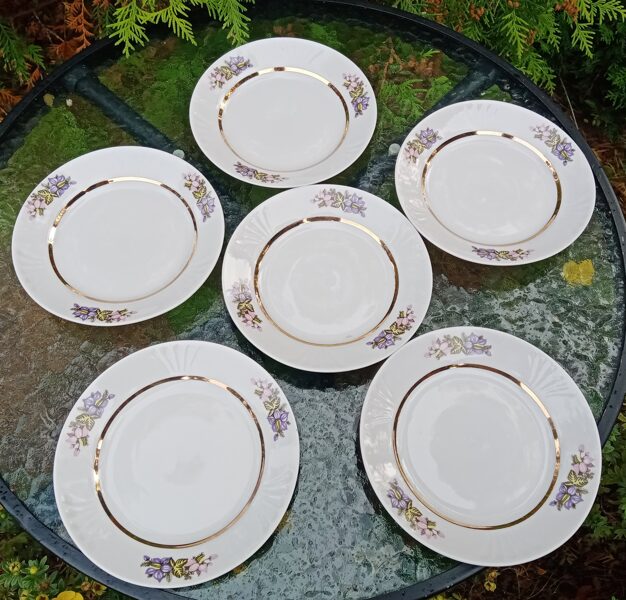 Kūku šķīvji, tējas servīze "Māra" ar mežvīteņiem un zetu (Māra tējas 69)