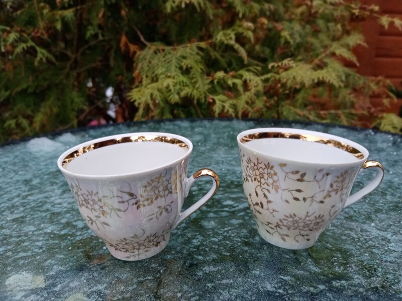 Tase "Marianna" lustrēta ar zelta puķītem (Marianna 32)