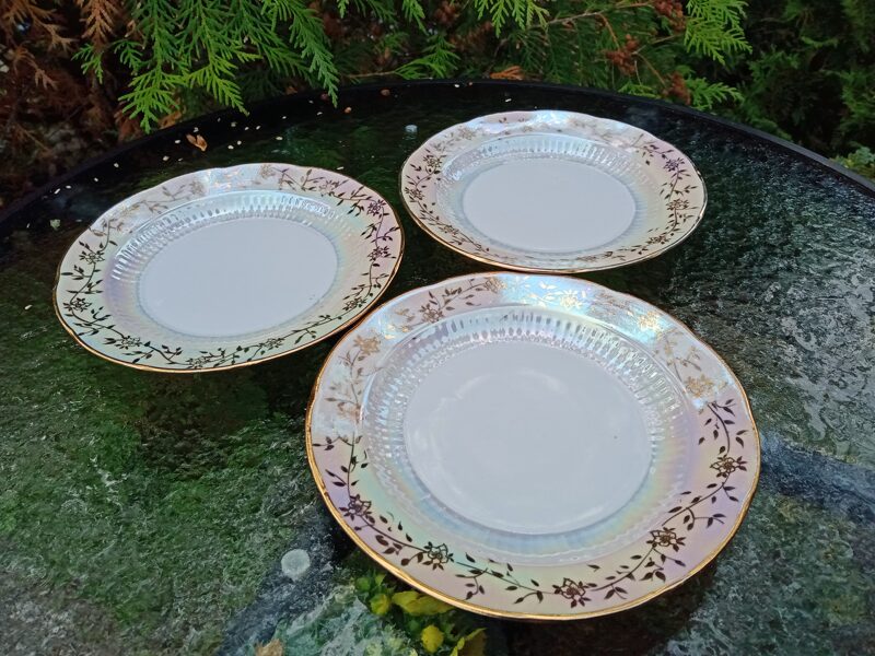 Kūku šķīvji no lustrētas ar zeltu plānsienu servīzes "Diāna", RPR (Diāna 35)