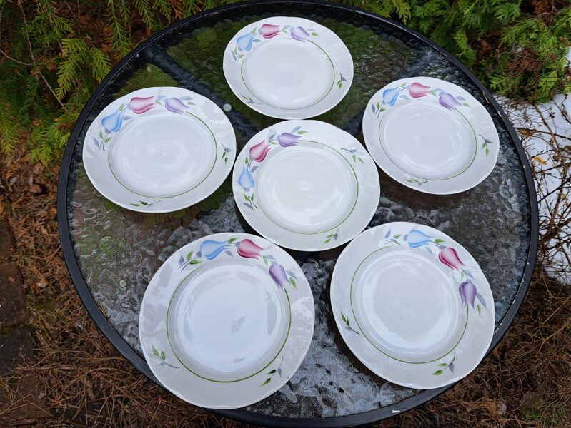 Kūku šķīvji ar tulpēm (rokas gleznojums) un zaļu lustru, tējas servīze "Viktorija", RPR (Viktorija t 59)