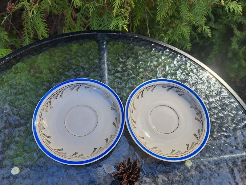 Apakštases, servīze "Tauta ar zilu malu un zelta vārpām, plaisas, PFF (Tauta 37)