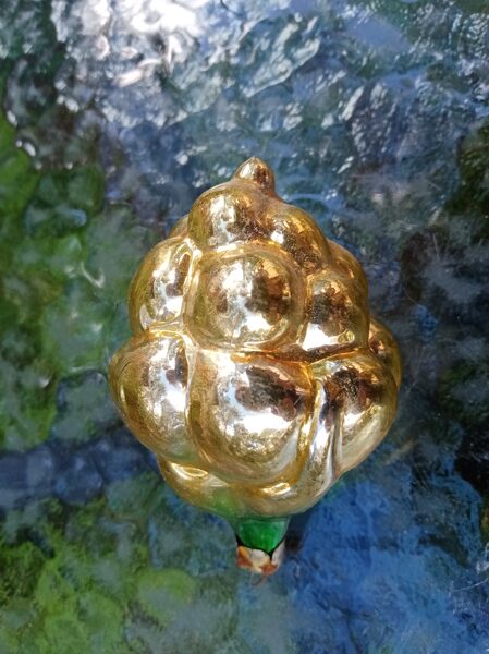  Vīnoga dzeltena ar zaļām lapām, kakliņam nošķēlumi (Egle augļi 08)