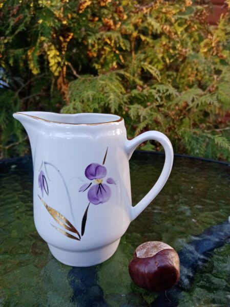 Krējuma kanniņa no kafijas "Aija-1" ar vijolītēm, RPR (Aija-1 kafijas 16)