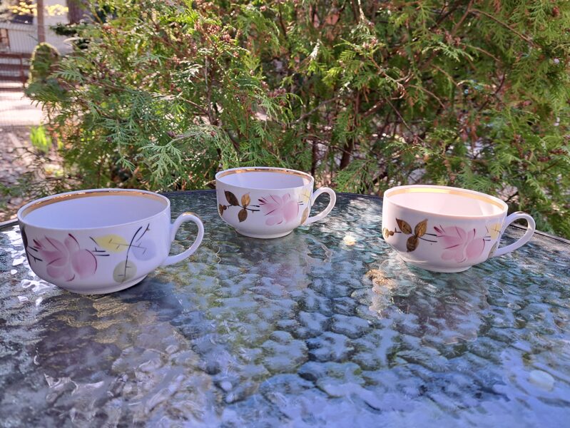 Tases,  servīze "Rīga" (no 60.-iem) ar burvīgu rokas gleznojumu, nepilnības (Rīga-60 21)