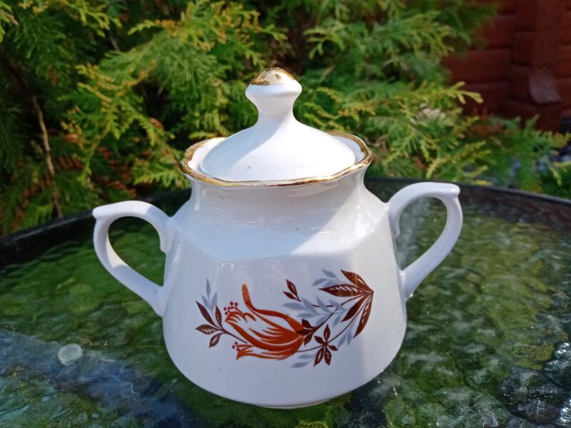 Tējkanna, servīze "Karīna" ar brūnām tulpēm un zeltu (Karīna 40)