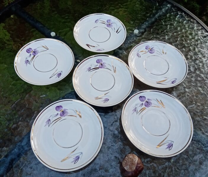 Apakštases no kafijas "Aija-1" ar vijolītēm, RPR (Aija-1 kafijas 20)