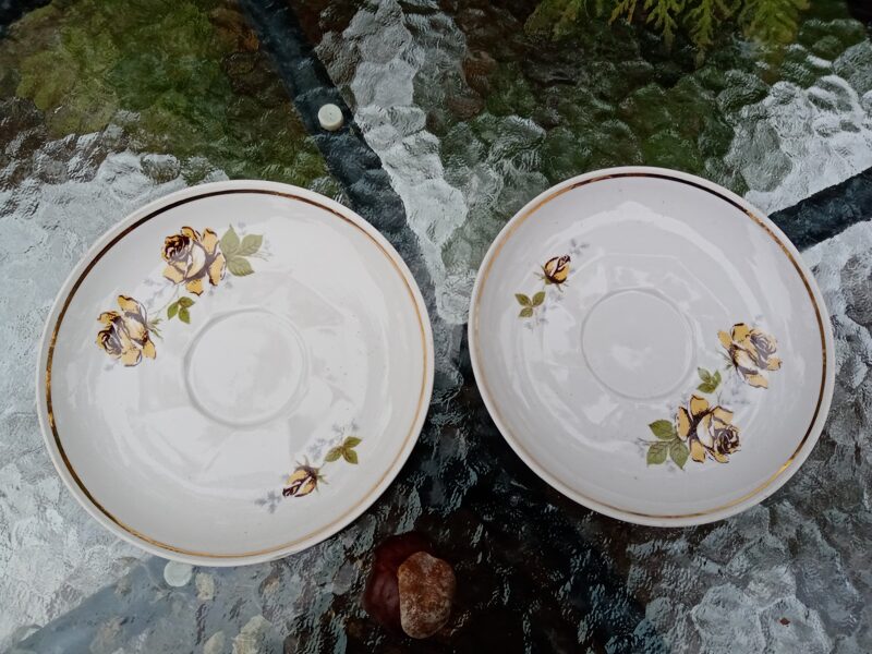 Apakštase ar zeltu un bešām rozēm, tējas servīze "Viktorija" (Viktorija t 46)