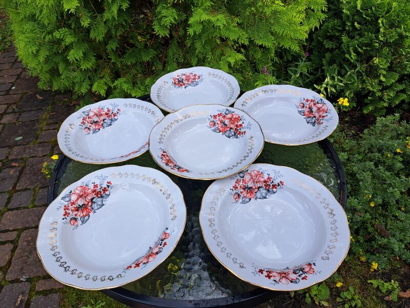 Zupas šķīvji d=24cm ar sarkanu un melnu dekolu, forma "Vilnis", RPR (Vilnis pusdienu 121)