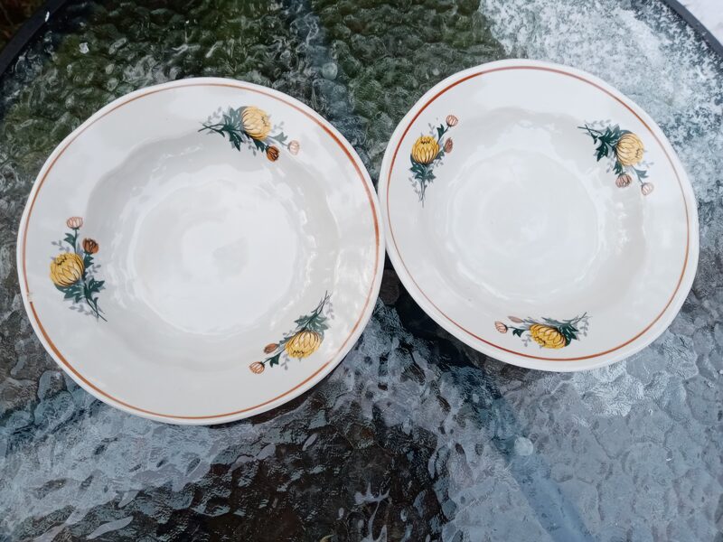 Šķīvji zupas ar dzeltenām asterēm (bez zelta), diam.20cm (Ārija pusdienu 75)