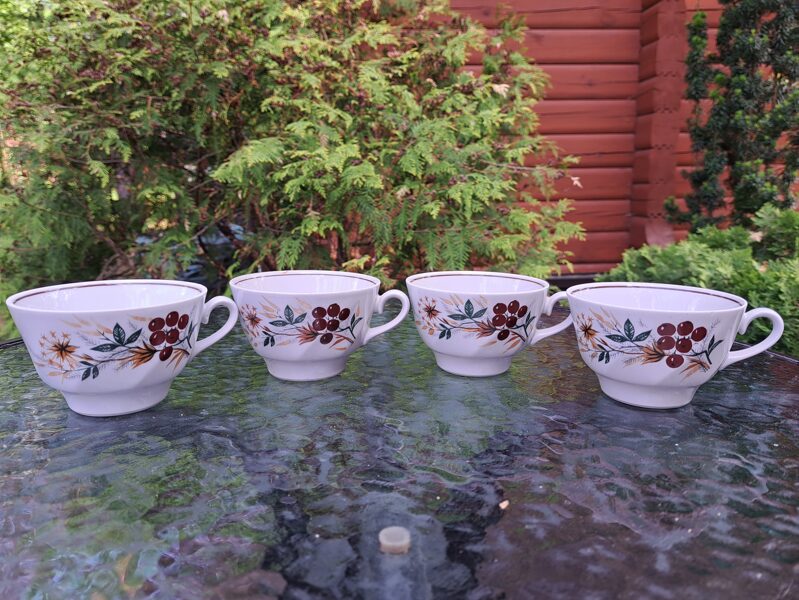 Krūzītes, skaista tējas servīze "Viktorija" ar ogām un brūnu apvilkumu, RPR (Viktorija t 76)