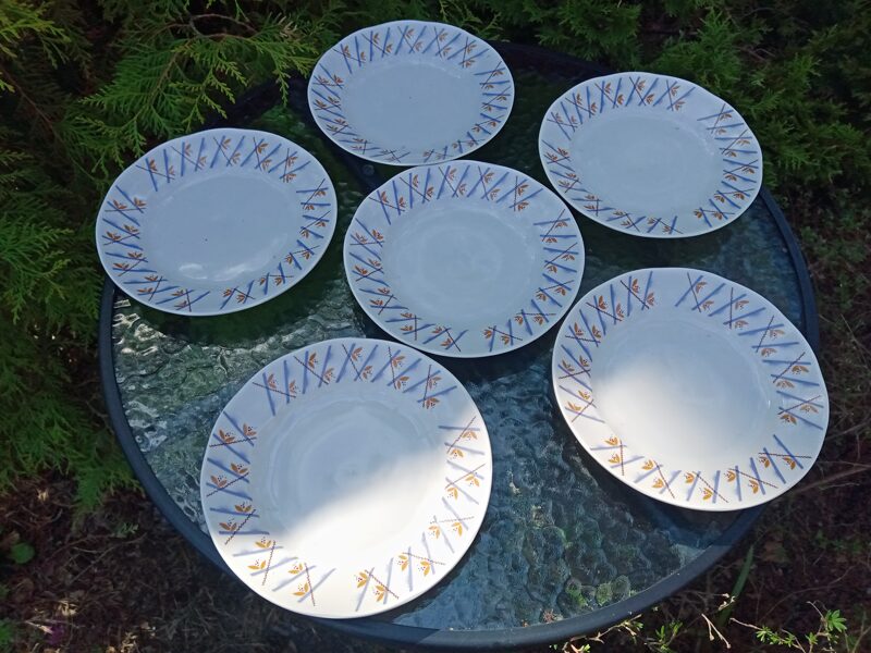 Šķīvju salātu ar zilām svītrām komplekts 6 personām, diam.20cm (Ārija pusdienu 118)