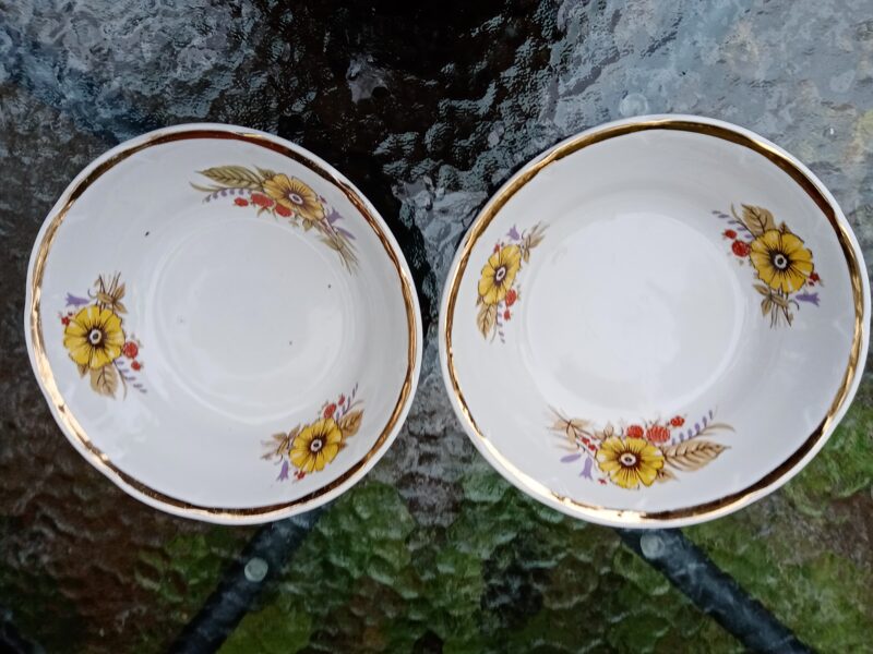 Salātu bļodiņas (Citi pusd 20)