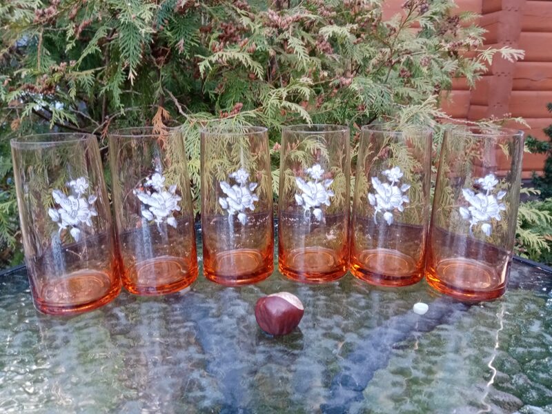 Jauns stikla sulas glāžu komplekts ar zeta malu un sudraba puķēm (kompl. 6 personām) (Stikla gl 54)