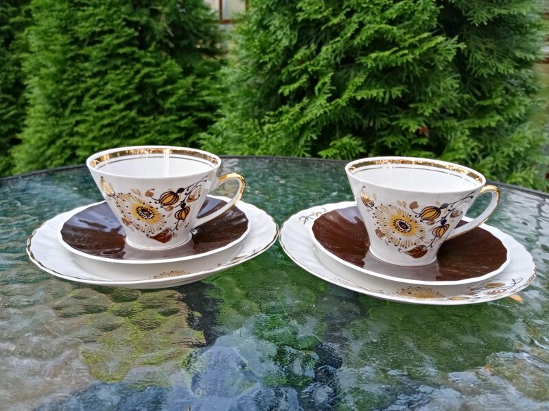 Plānsienu porcelāna trio, servīze "VITA" ar dzeltenām puķēm un brunam lapām (Vita 25)