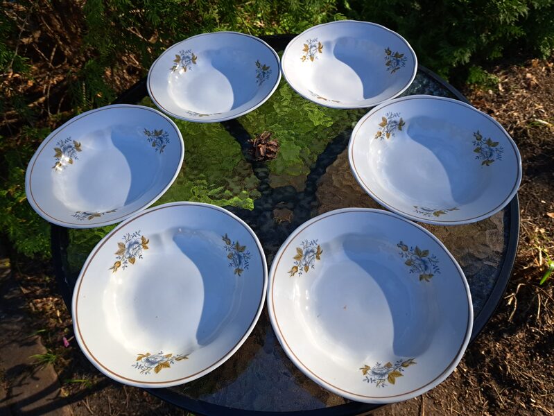 Zupas šķīvji ar "ledus rozi" un bēšu lustru, diam.20cm, RPR. Forma "Ārija" (Ārija pusdienu 255)