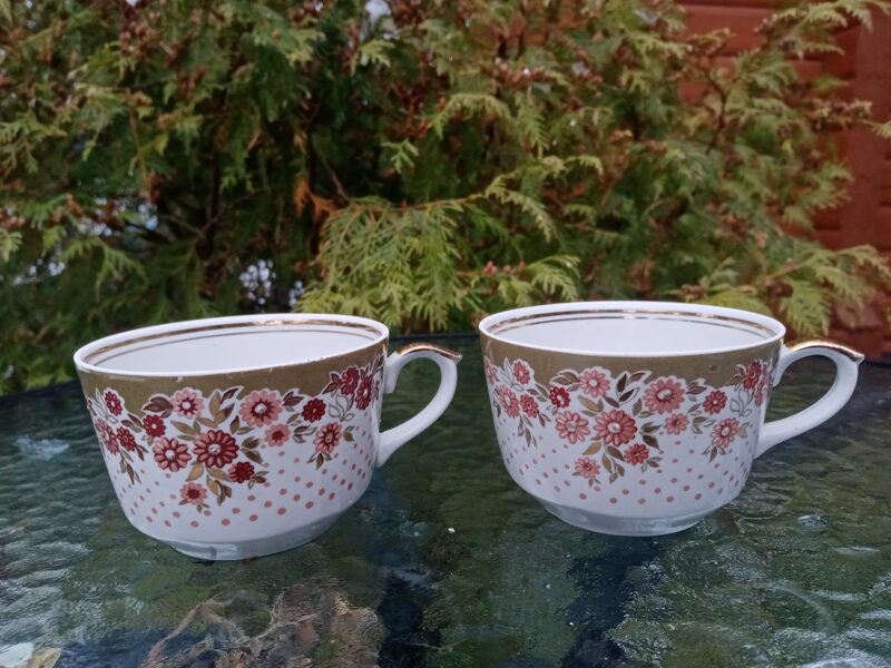 Krūzītes, servīze "Karīna", dekols: haki krāsa ar rozā puķītēm un zeltu, RPR (Karīna 86)