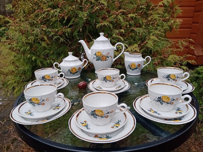 Kafijas servīze "Ārija" ar dzeltenām asterēm un zeltu, RPR (Ārija kafijas 60)