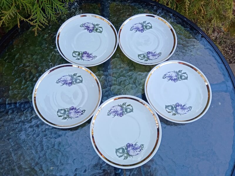 Apakštases, "Aija-2" ar violētu puķi (Aija-2 tējas 37)