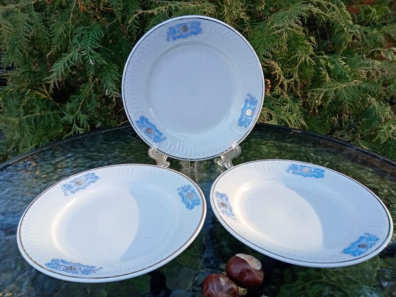 Izsmalcināti kūku šķīvji ar reljefu un gaiši zilu dekolu (Krivija vai Ukraina)  (Citi 18)