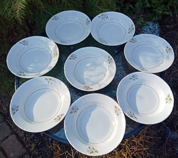 Šķīvjis zupas (pusporcija), ar gaišu zilām rozēm, reljefa mal un tumši brūnu svītru (Citi pusd 35)