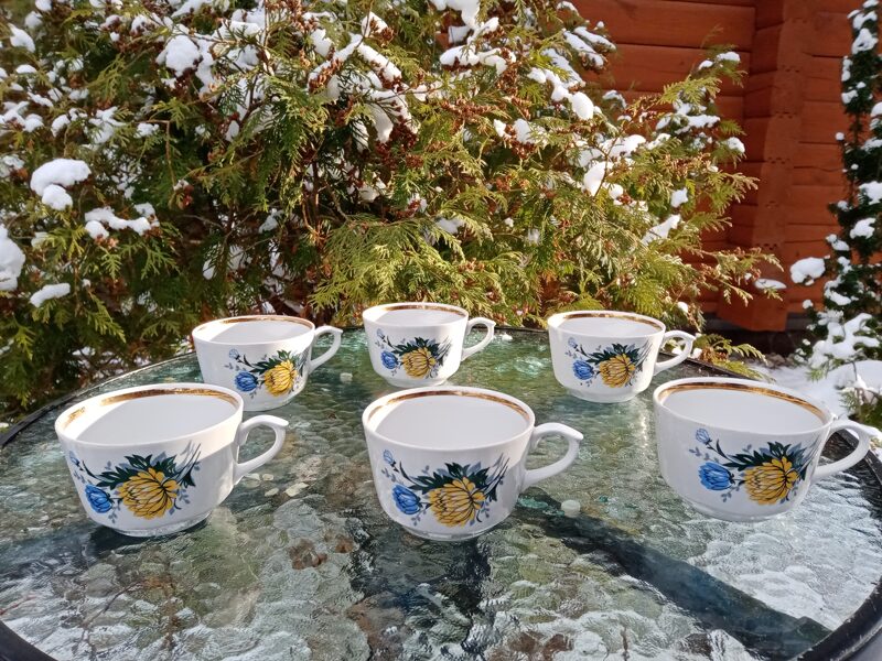 Krūzītes, tējas servīze "Karīna" ar dzeltenām (lielām) un zilām asterēm un zeltu, RPR (Karīna 90)