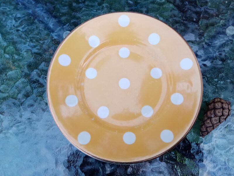 Kūku šķīvis ar jautru punktveida dekolu: balti uz dzeltena fona (Kuzņecovs 23)