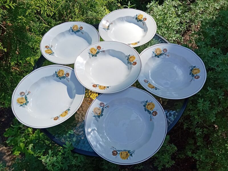 Zupas šķīvji d=24cm, pusdienu servīze "Ārija" ar dzeltenām asterēm (Ārija pusdienu 146)