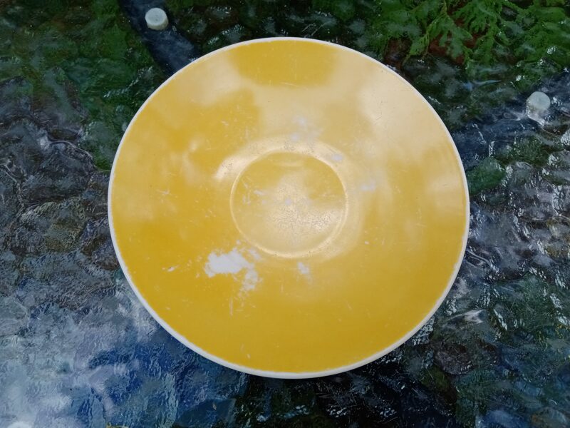 Tumši dzeltena "Saktas" apakštase, RPF (Sakta 22)