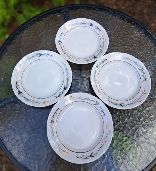 Kūku šķīvji, skaista tējas servīze "Viktorija" ar ogām un brūnu apvilkumu, RPR (Viktorija t 75)