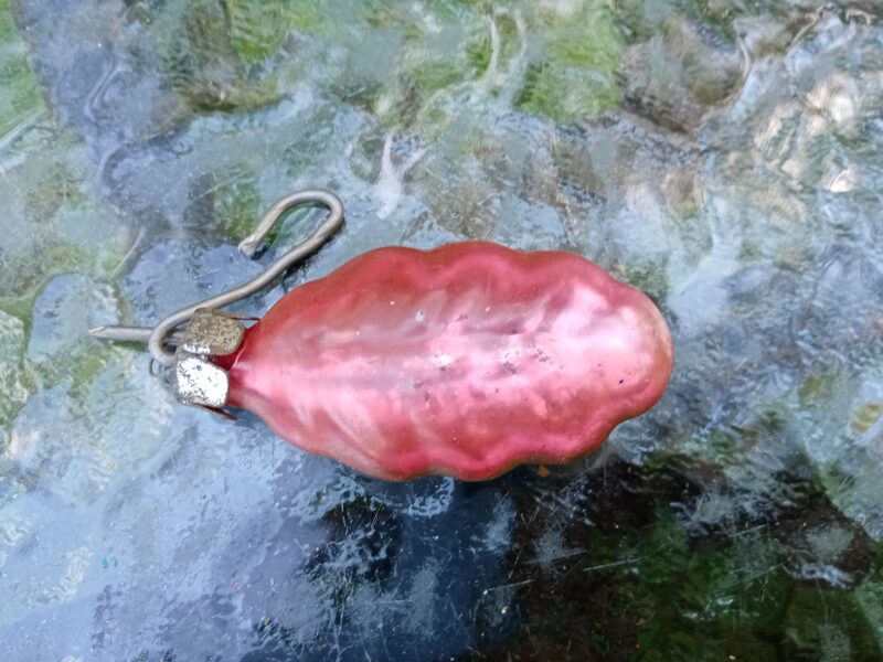 Lapiņa rozā sudrabota (Egle 185)