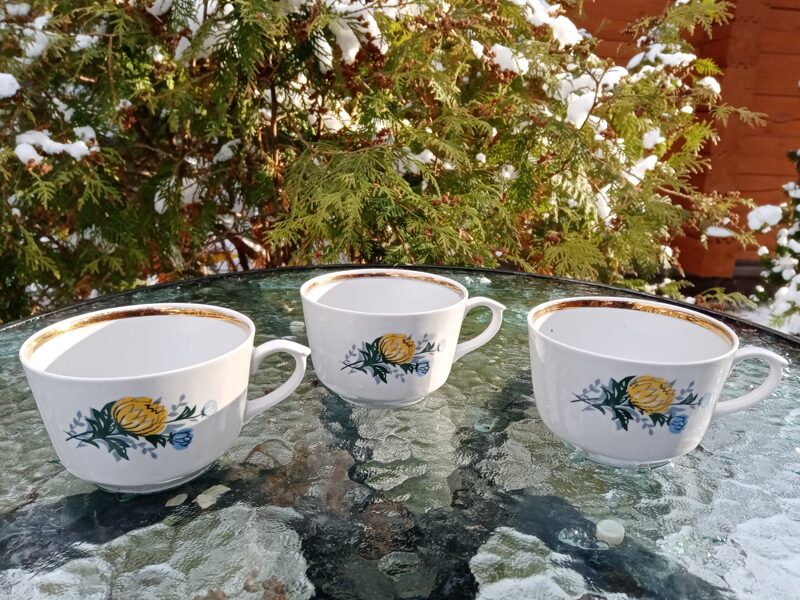 Krūzītes, tējas servīze "Karīna" ar dzeltenām (mazājam) un zilām asterēm un zeltu, RPR (Karīna 91)