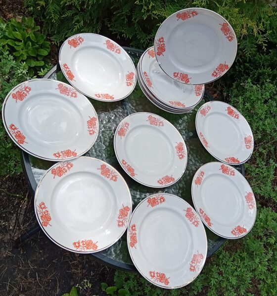 Šķīvji salātu, diam.20cm ar oranžām rozēm un zeltu, RPR (Citi pusd 90)