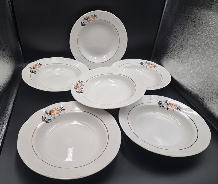 Zupas šķīvji, d=24cm, ar būnu tulpi un brūnu svītru, pusdienu forma "Viktorija", RPR (Viktorija 62)